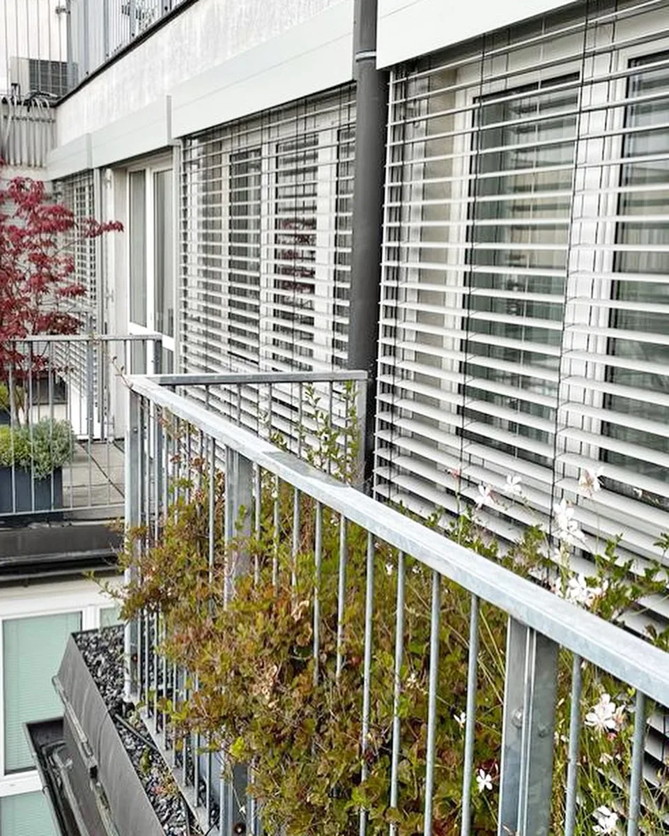 Fertig montierte Außenjalousie an einer Fensteröffnung